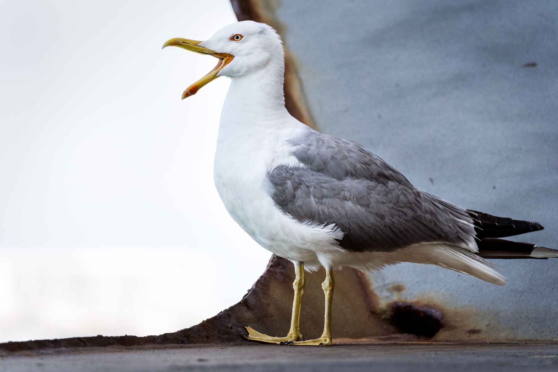 maritimer_fotograf_deutschland_010