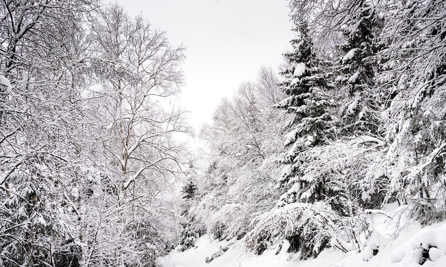 Der Bass-Bariton Matthias Bein studierte er Gesang an der Hochschule f&uuml;r Musik und Theater M&uuml;nchen bei Michelle Breedt und singt am Theater Trier.