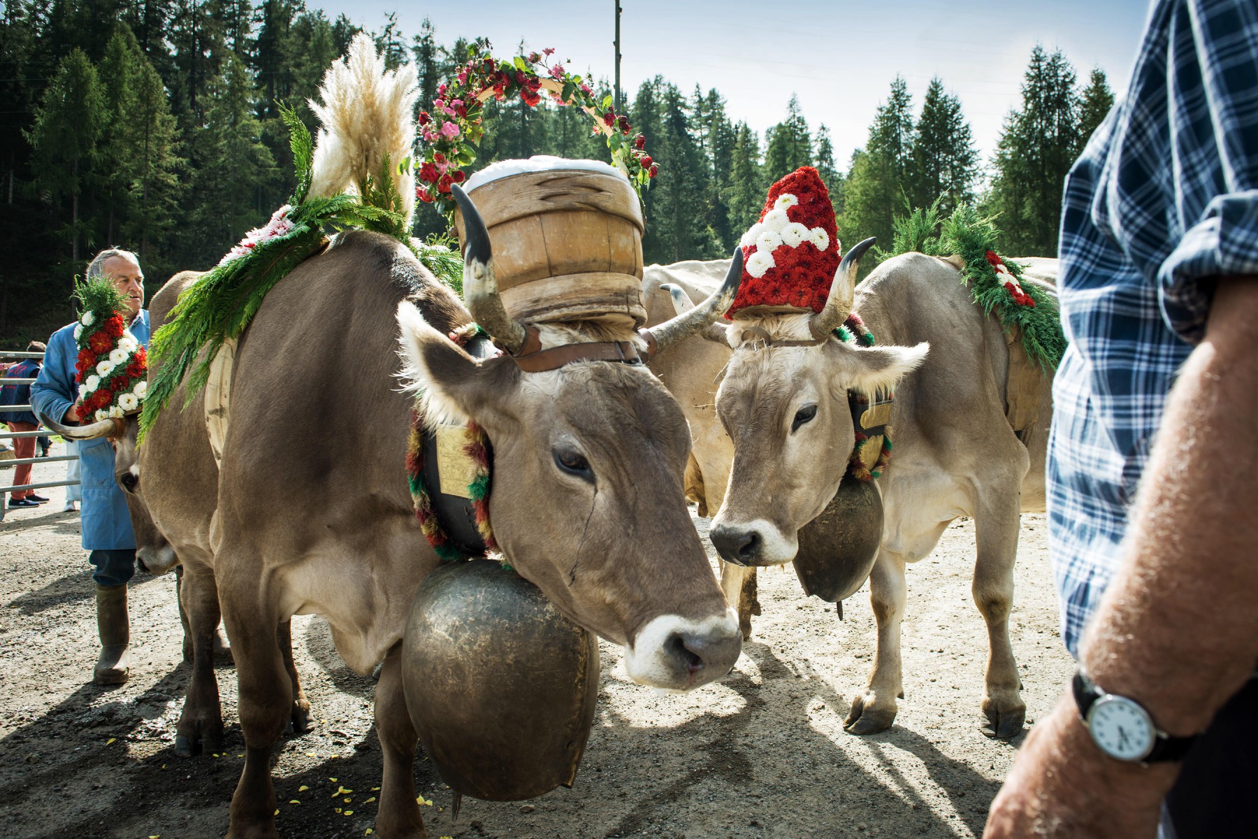 Flower-decorated alp-descent in the Emmental region