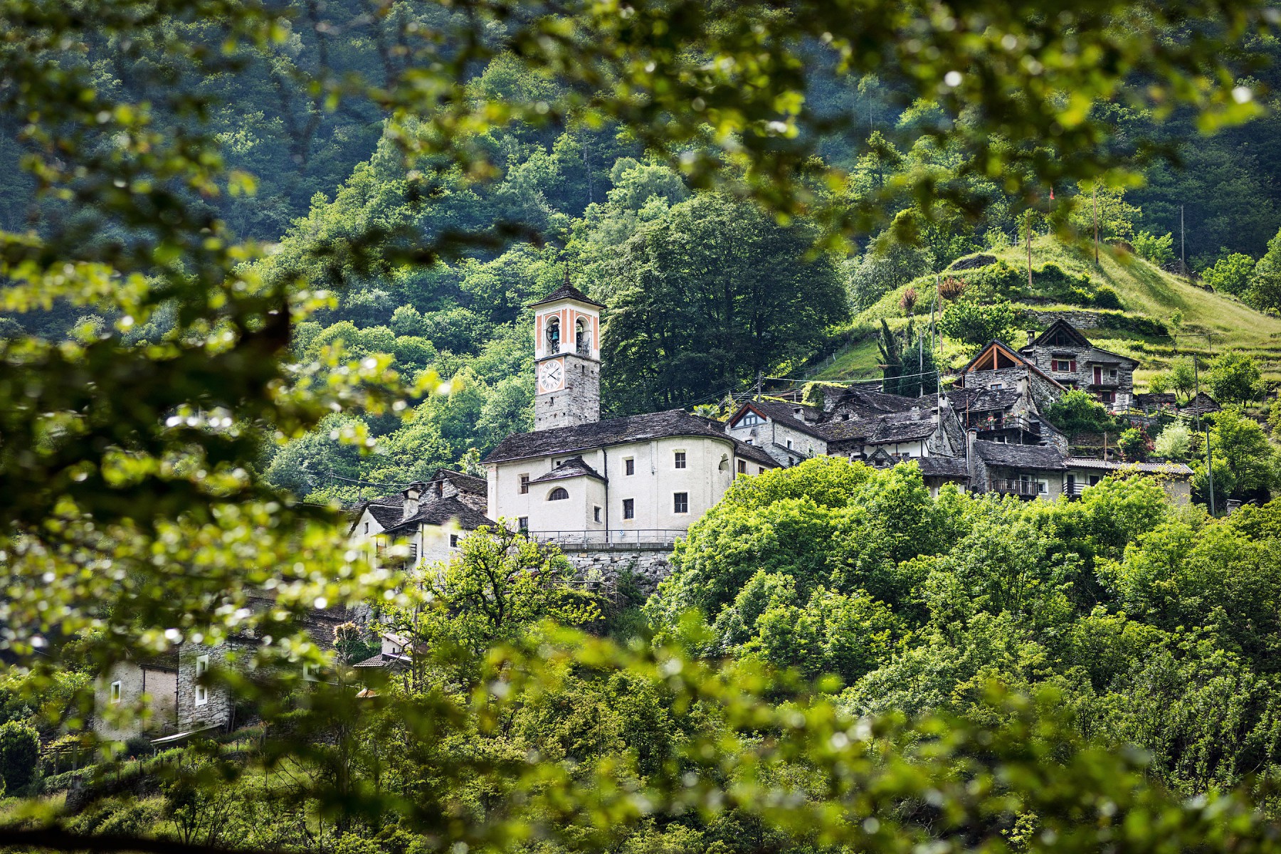 Tessin Landscape