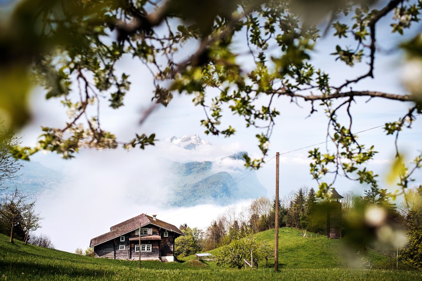 Landscape over the Lake Lucerne